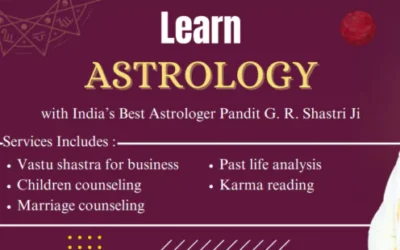 Astrologer – Pandit G.R Shastri